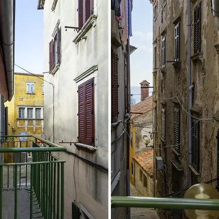 Ginger In Labin - Istrien Labin (Istria)